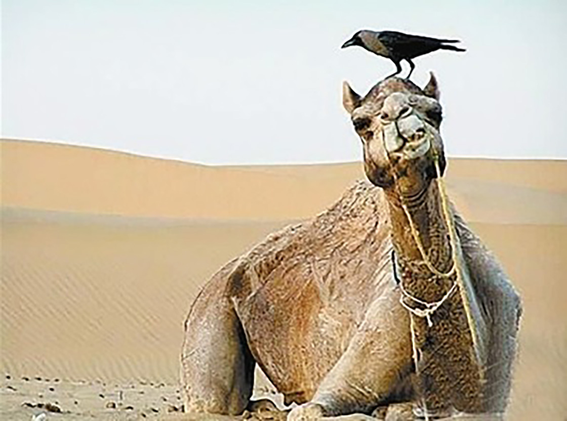 1526191300426344.jpg 06.jpg