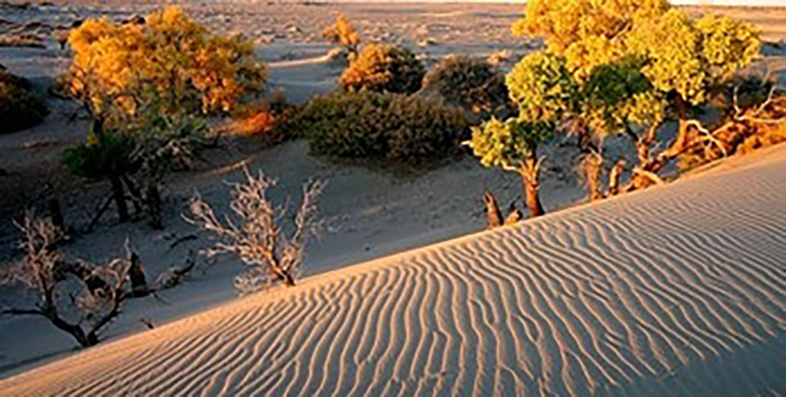 1526196291928987.jpg 11.jpg