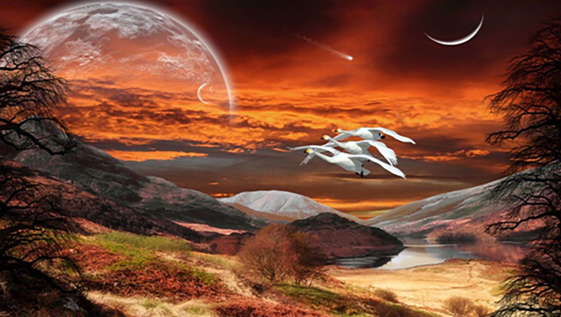 1526196985690563.jpg 14nei .jpg