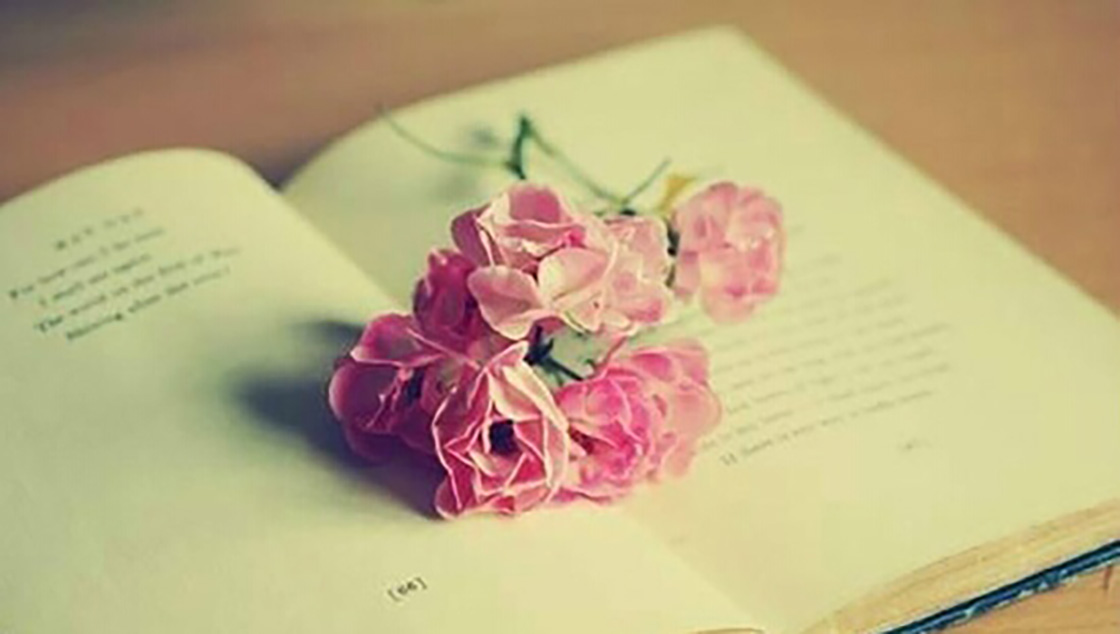 1526199736378066.jpg 19-2.jpg