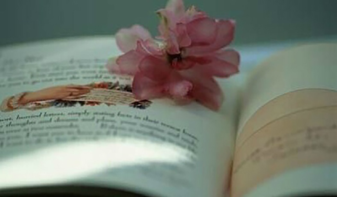 1526199767105827.jpg 19-3.jpg