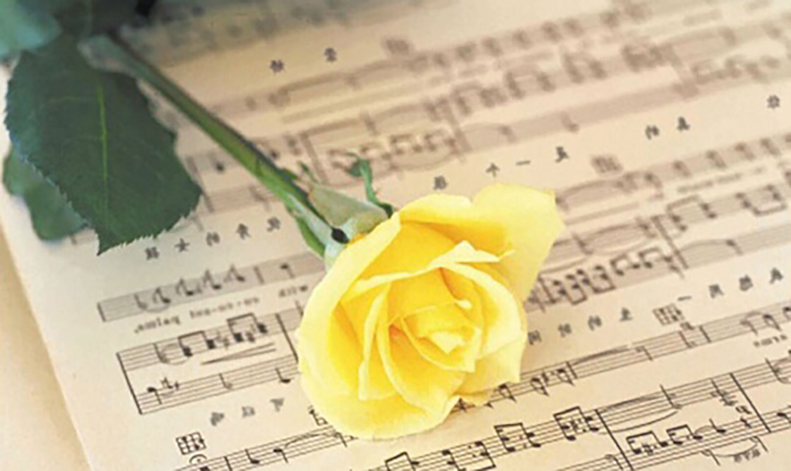 1526199803100704.jpg 19-4.jpg