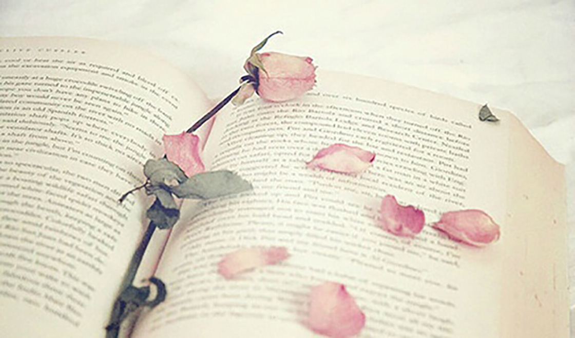 1526199822202423.jpg 19-5.jpg