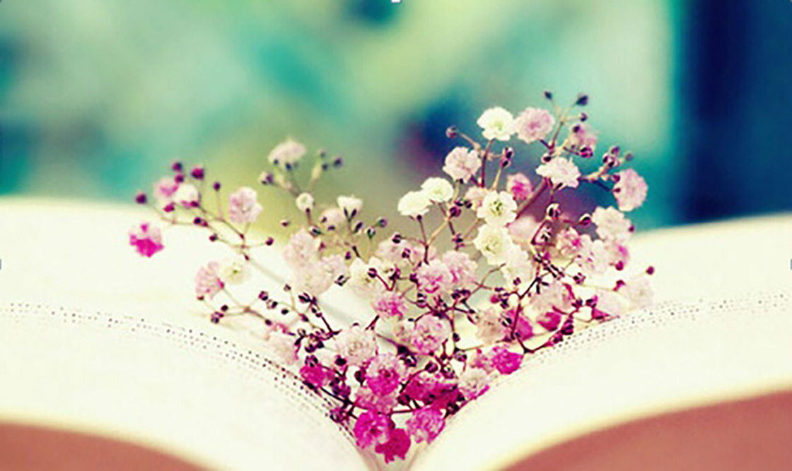 1526199865103052.jpg 19-6.jpg