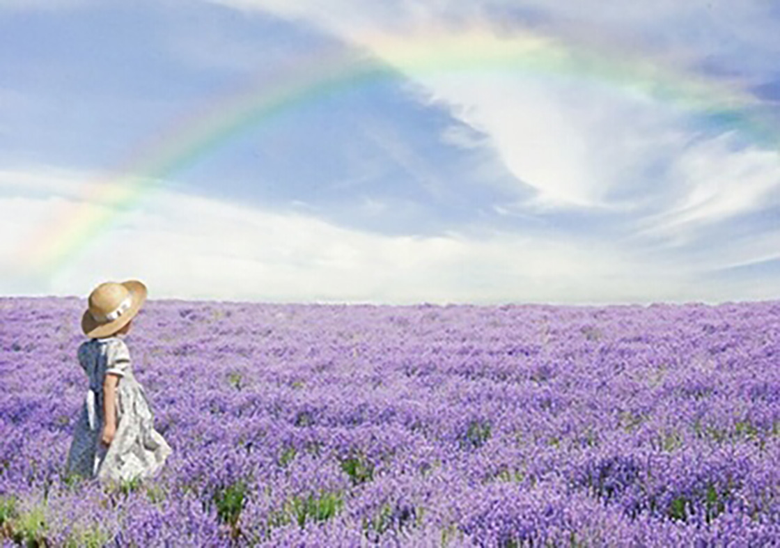 1526201284122581.jpg 22.jpg