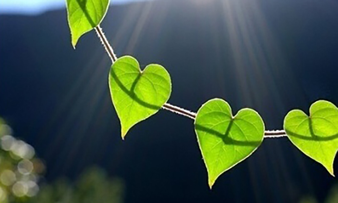 1526201503461248.jpg 23.jpg