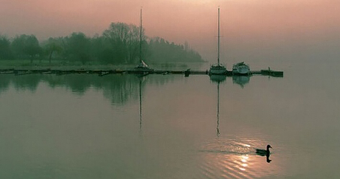 1526203484114582.jpg 29.jpg