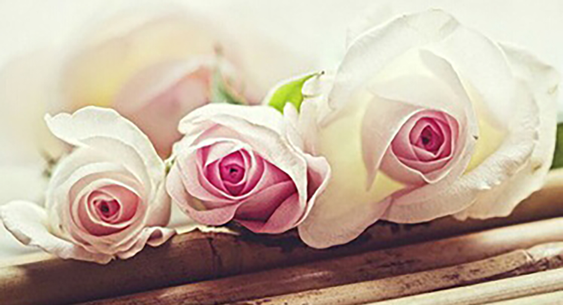 1526204343657895.jpg 31.jpg