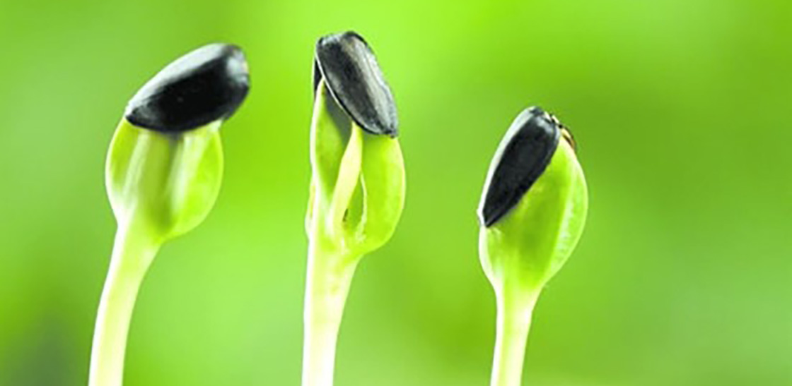 1526223988908310.jpg 7.jpg