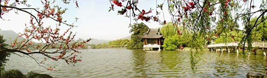 1526225153371667.jpg 10.jpg