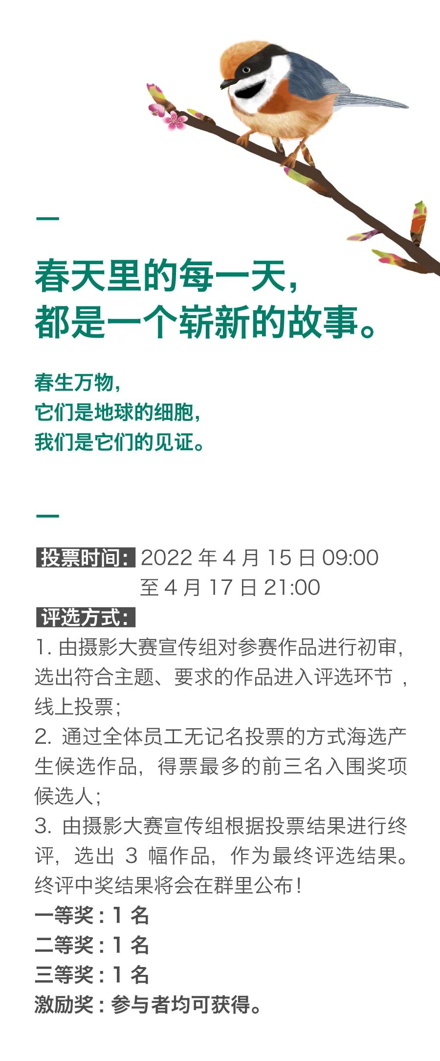“抖动春天”《 阳光杯 》赏春摄影大赛4.jpg