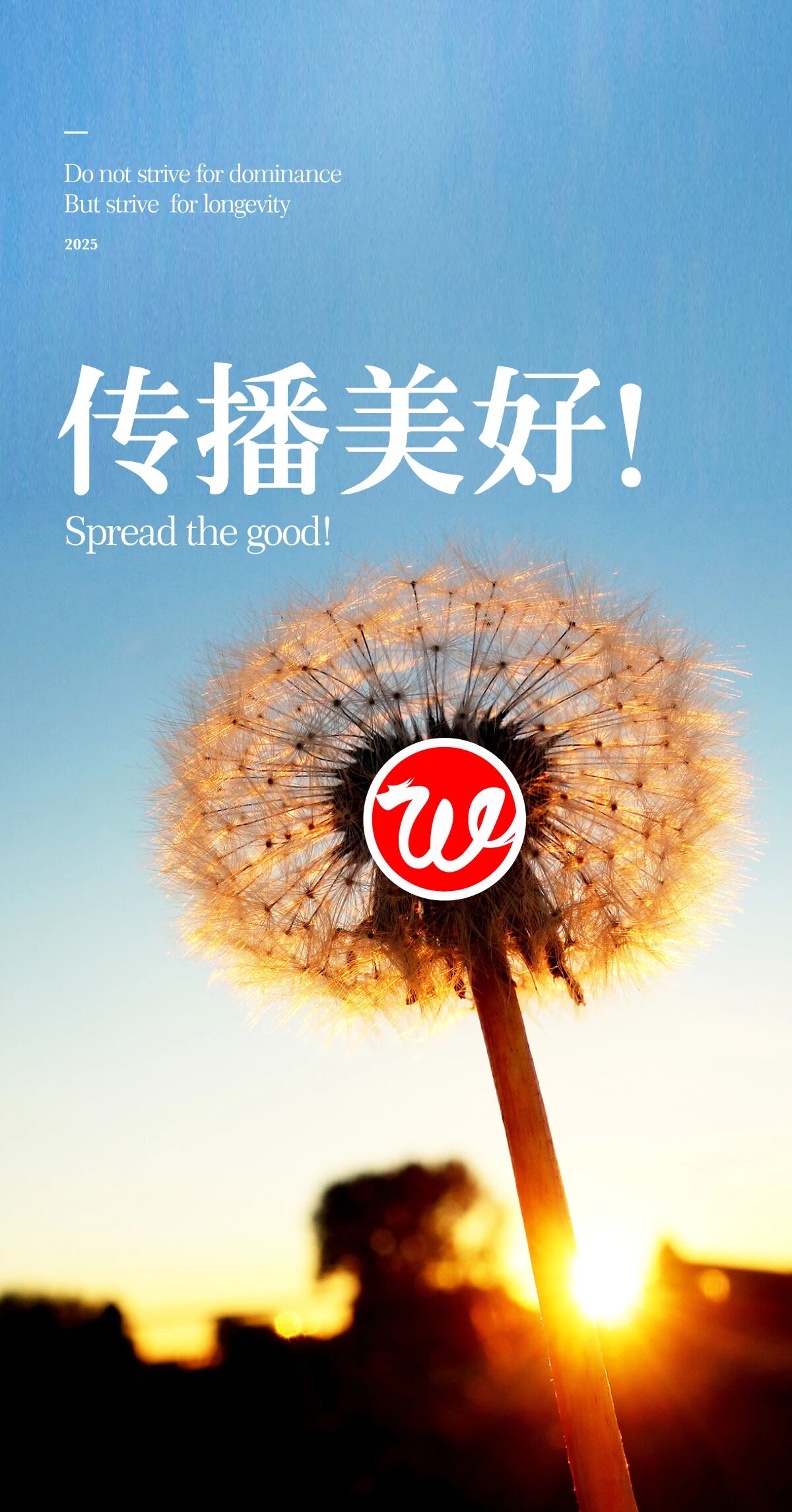 04不争锋，争久长.jpg